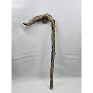 Natural Real Wood Yodas Cane Shaped Wood READ Unique oddities Decor Display Item